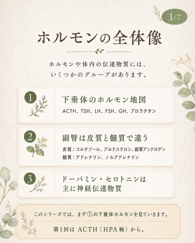 「ACTH」資料の1ページ目