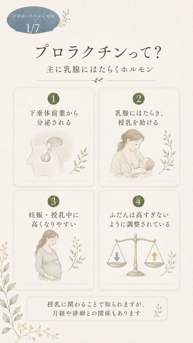 「プロラクチン」資料の1ページ目